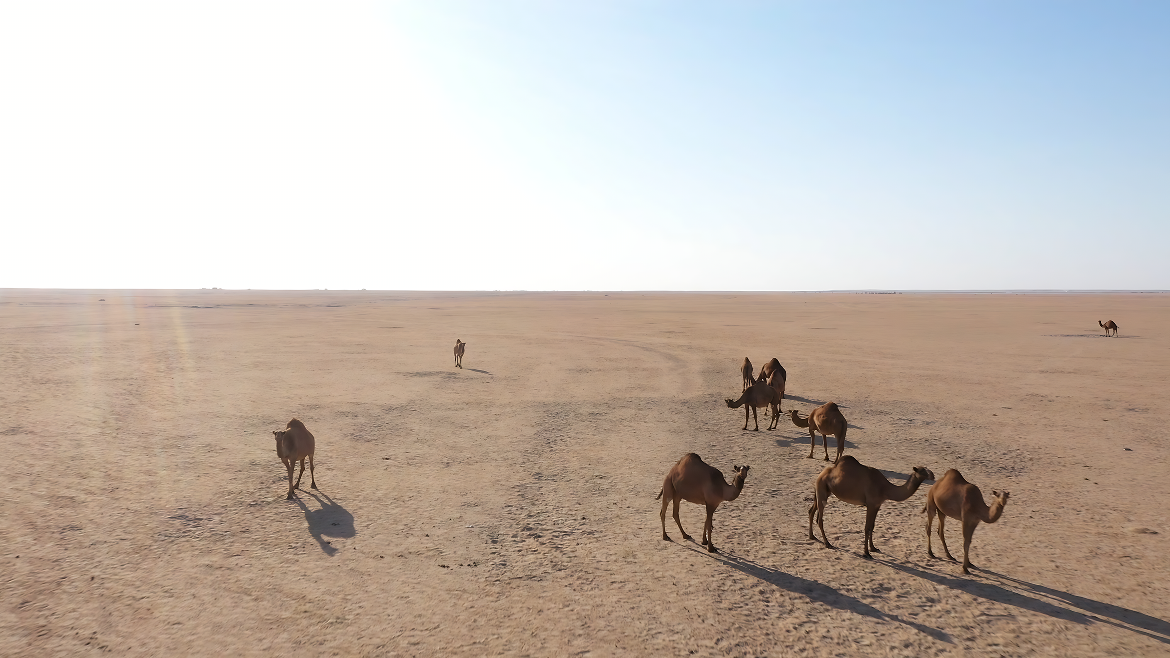 Kuwait Expo 2025: Experience Culture & Innovation